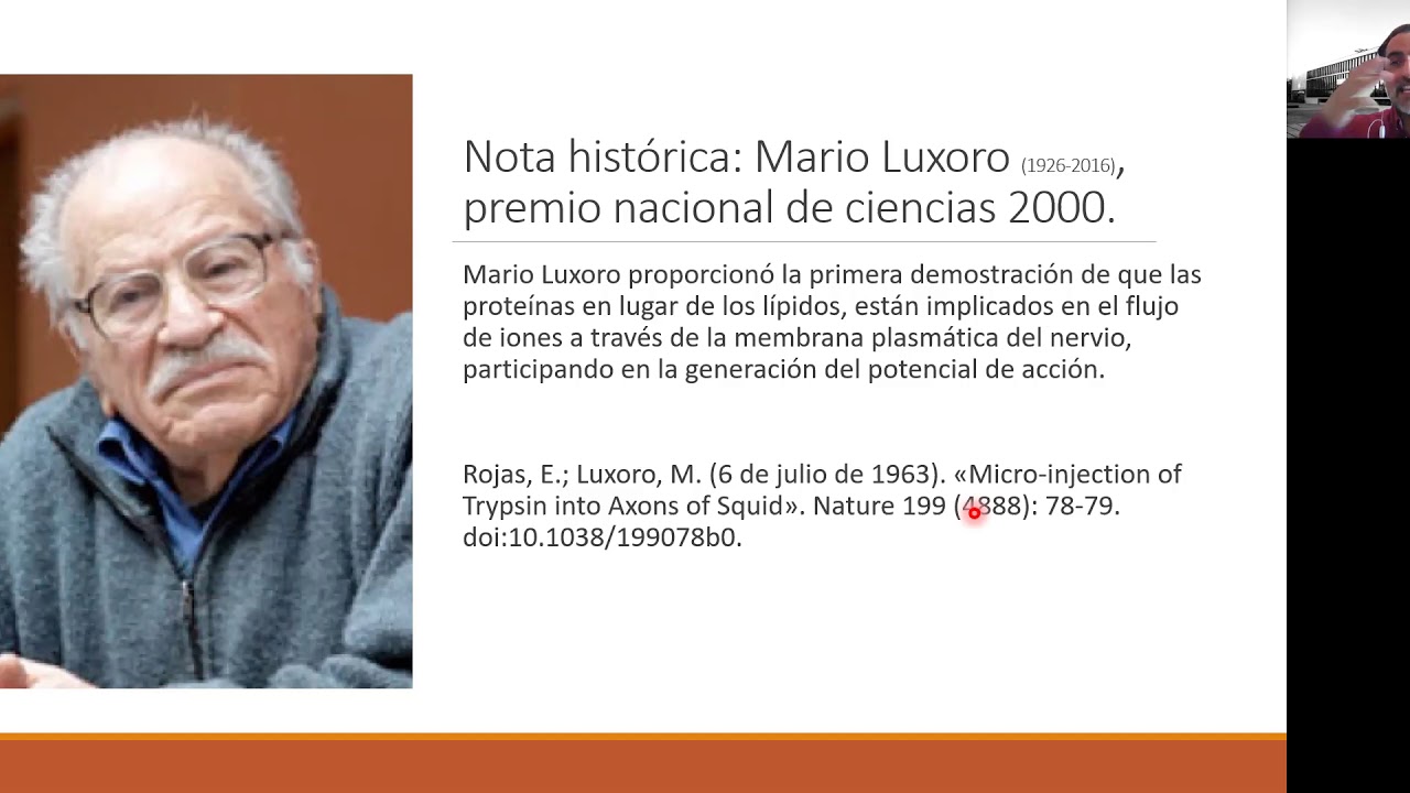 Fisiol Clase4 PotDeAccion CarlosRozas 28Octubre2020