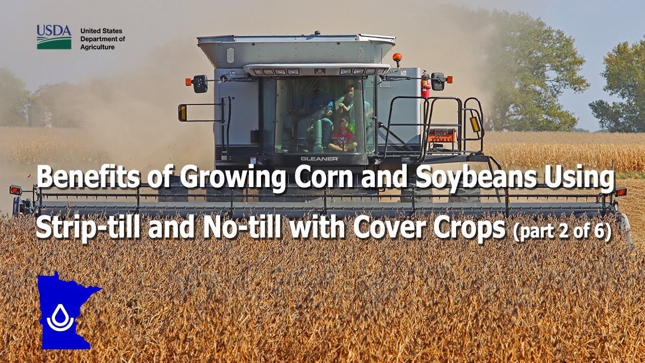Benefits of Growing Corn and Soybeans Using Strip-till and No-till with Cover Crops (Part 2 of 6)