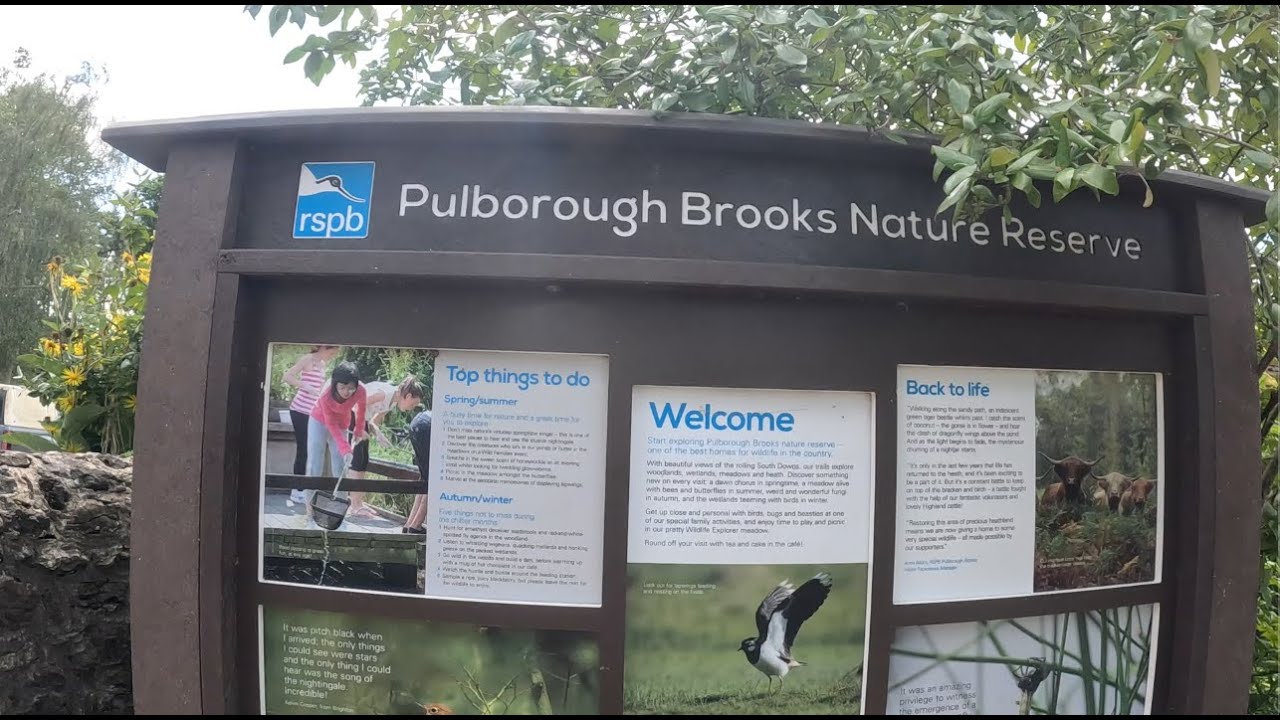 RSPB Pulborough Brooks, Sussex England