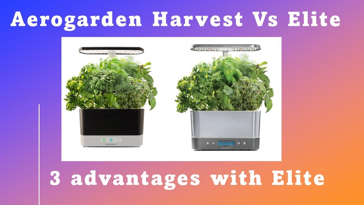 Aerogarden Harvest vs. Elite | Only 3 differences | A simple comparison