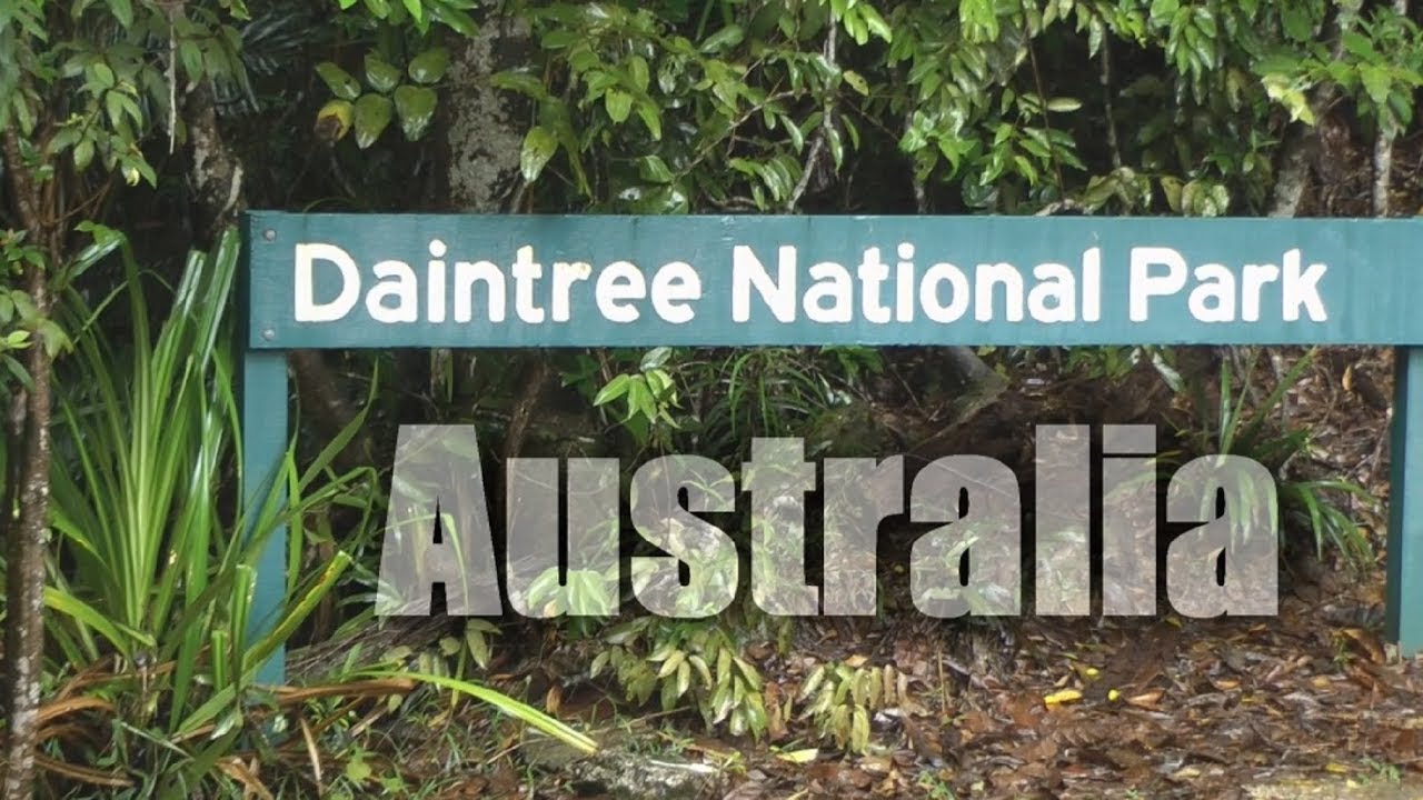 Australia, Daintree Rainforest  ( HD )