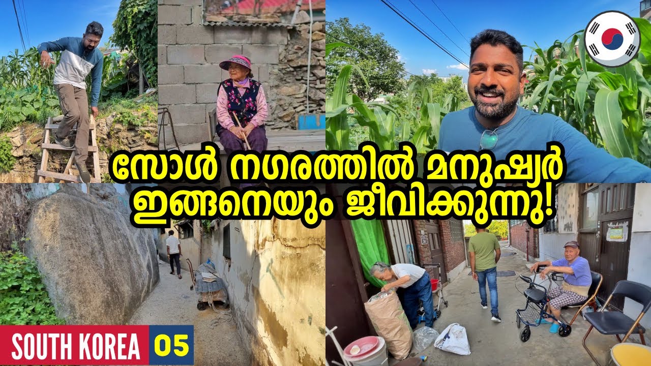 EP🇰🇷5 - ഈ മഹാനഗരത്തിൽ മനുഷ്യർ ​ഇങ്ങനെയും ജീവിക്കുന്നുണ്ട്! A Friday in Seoul City - South Korea
