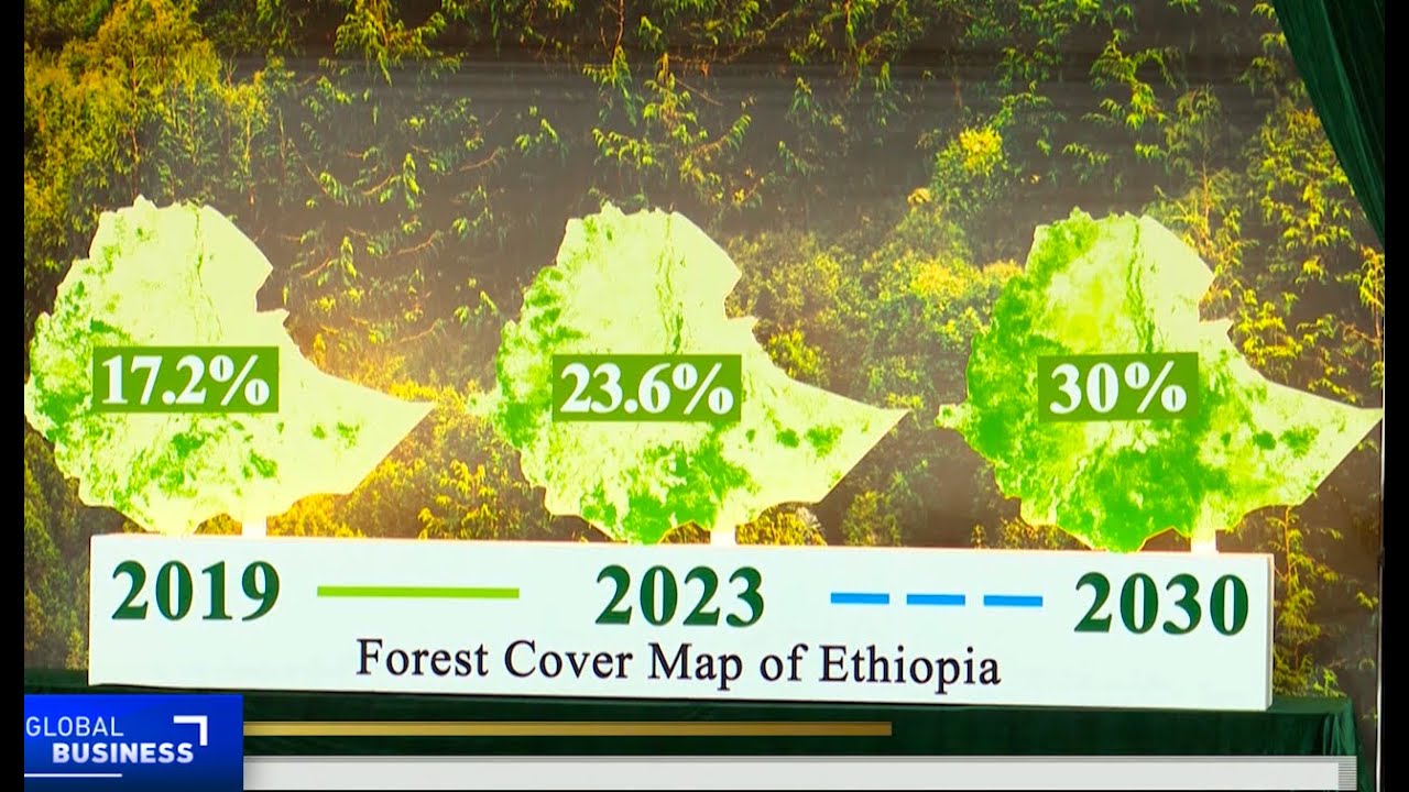 Ethiopia aims to plant 50 billion trees by 2026
