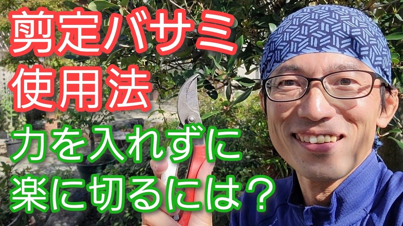 【剪定鋏の使い方】よく切れて庭仕事が楽になる基本から裏技まで実演🌿🎵