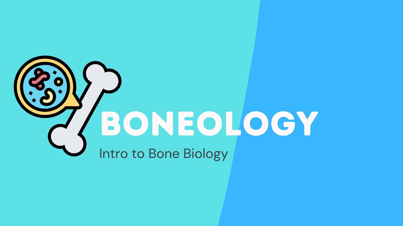 Intro to Bone Biology