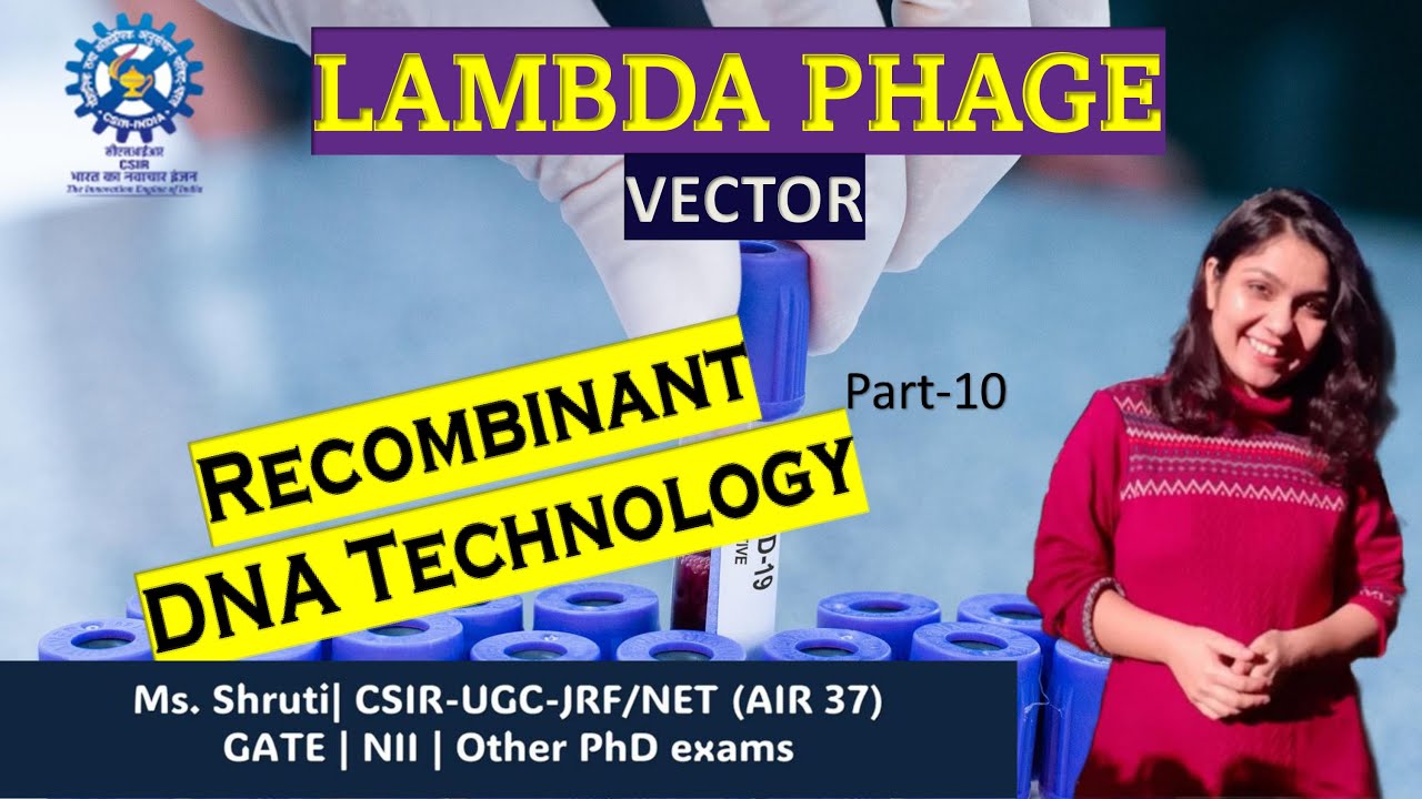 Lambda Phage Cloning Vector #gate #gatb #dbt #bet #csirnetjrf #biotechnology #phdentrance #pgexam