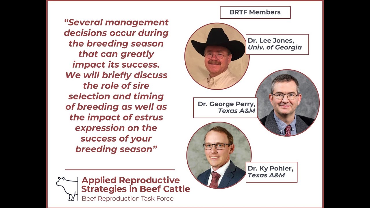 Drs. Jones, Perry and Pohler - Improving reproductive performance