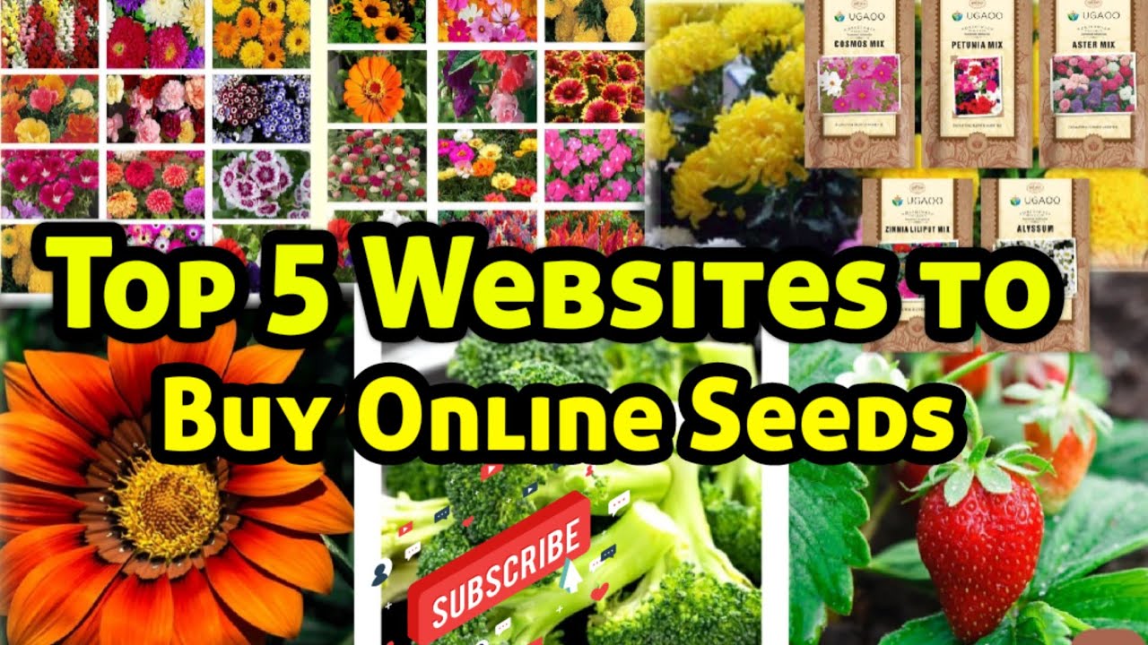 💥💥Top 5 Websites to Buy Online Seeds in India💥🌻🎍🏜🌼🌻💫