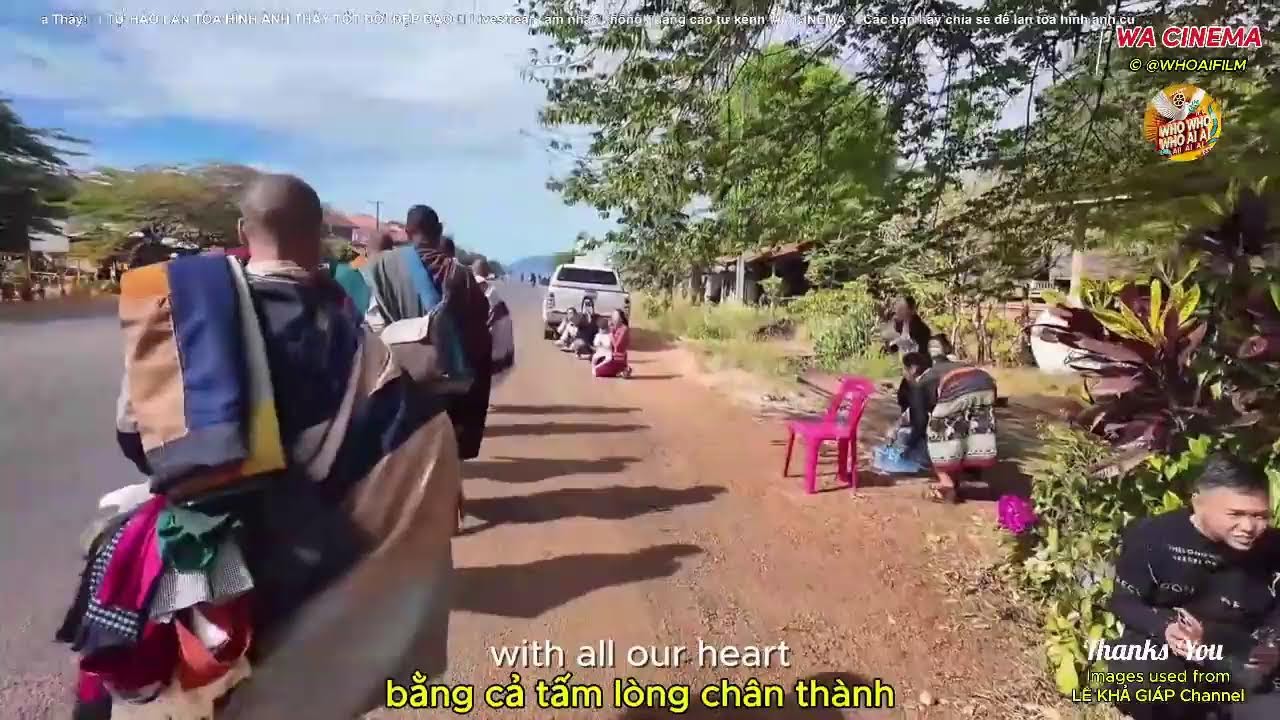 🎥 livestream âm nhạc hành trình tu tập Sư Minh Tuệ  #minhtue