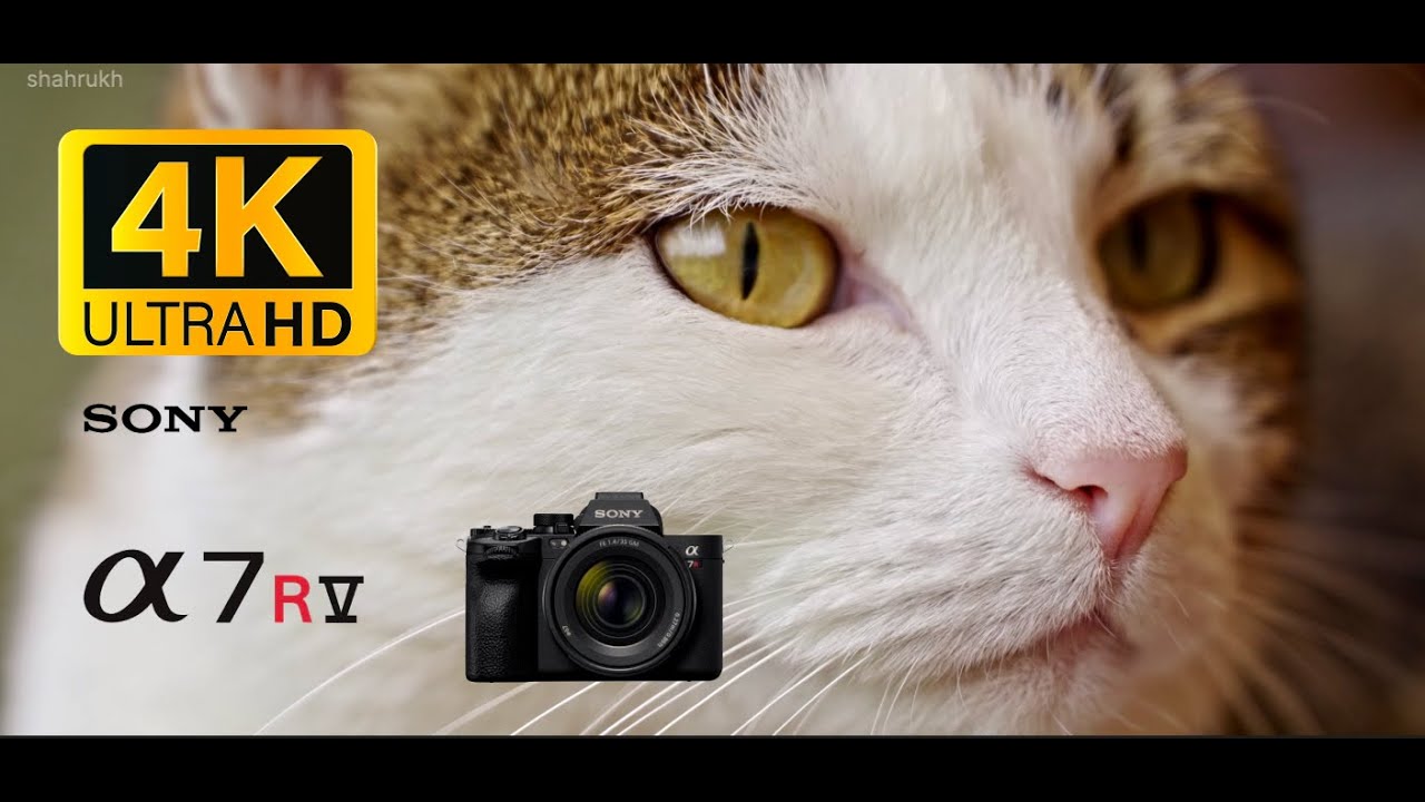 Sony A7R V Stunning 4K Video