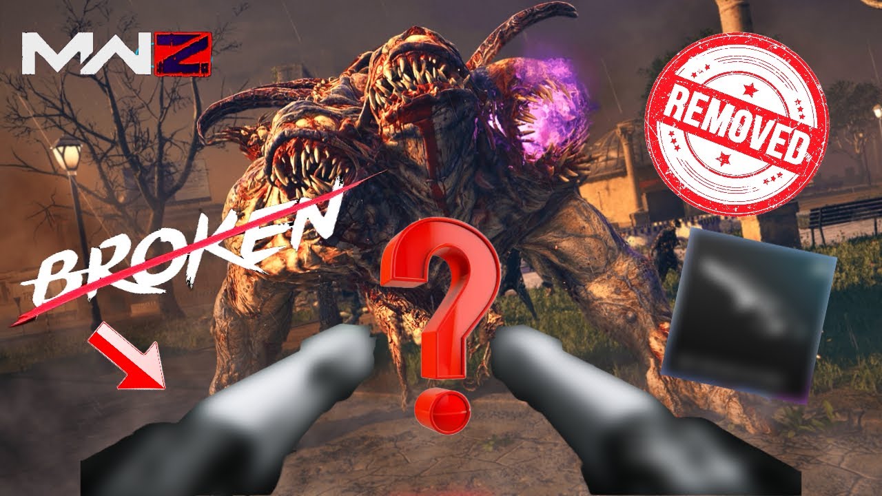 The BEST MWZ Weapon, that SECRETLY got removed..