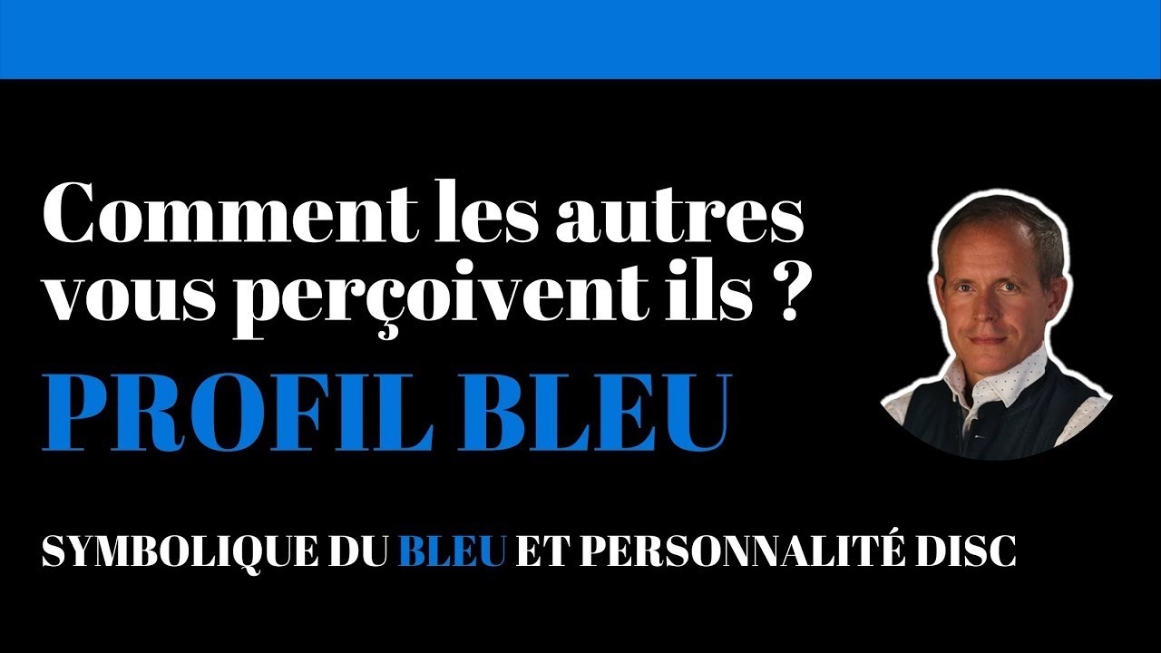 Méthode DISC : La perception du profil bleu | disc conforme