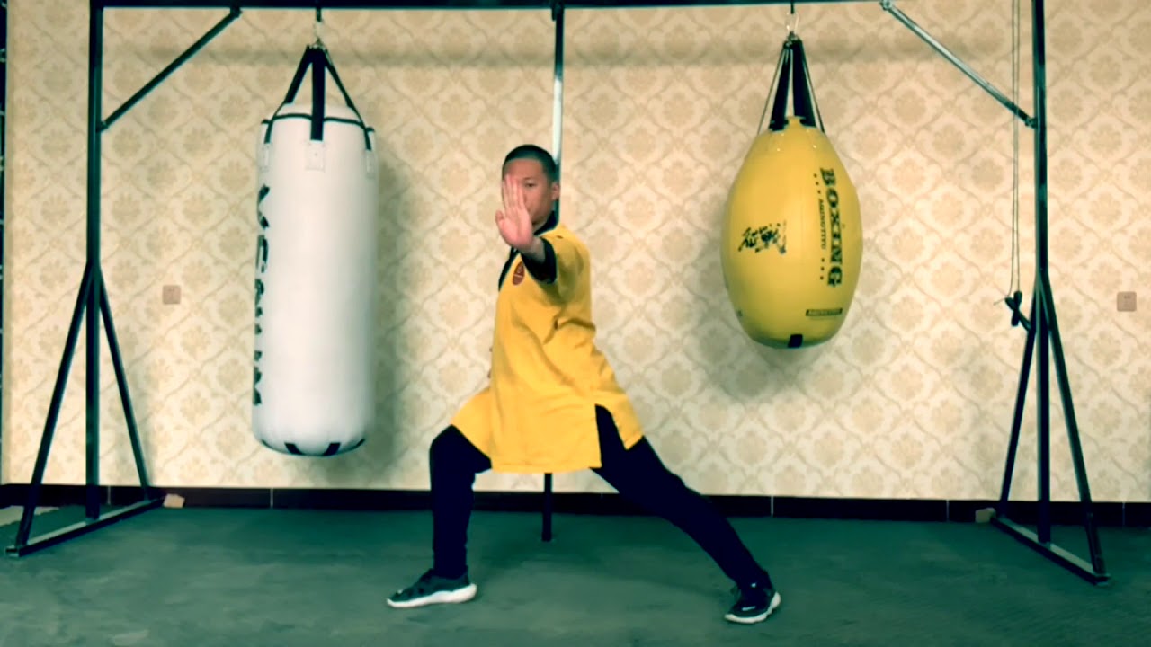 shaolin gongfa