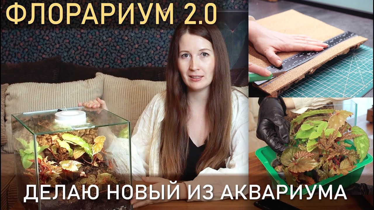ФЛОРАРИУМ 2.0 Делаю новый из АКВАРИУМА