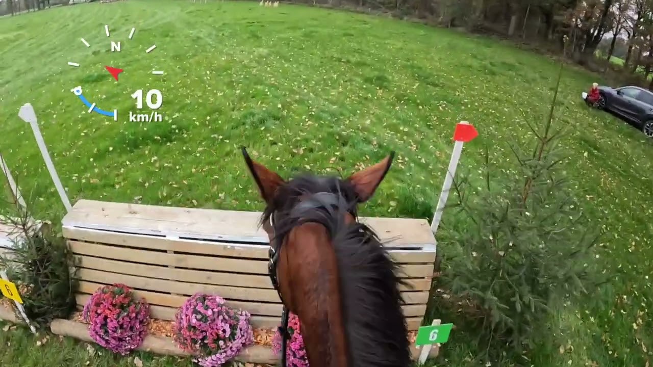SGW Rekken, B paarden 2024