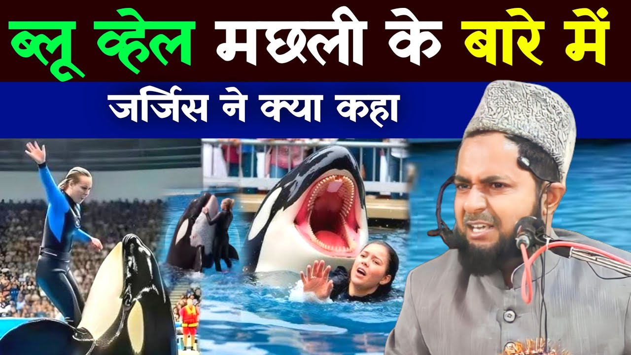 Blue whale machhali ke bare mein Maulana Jarjis kya Ne kaha by Maulana Jarjis Ansari 