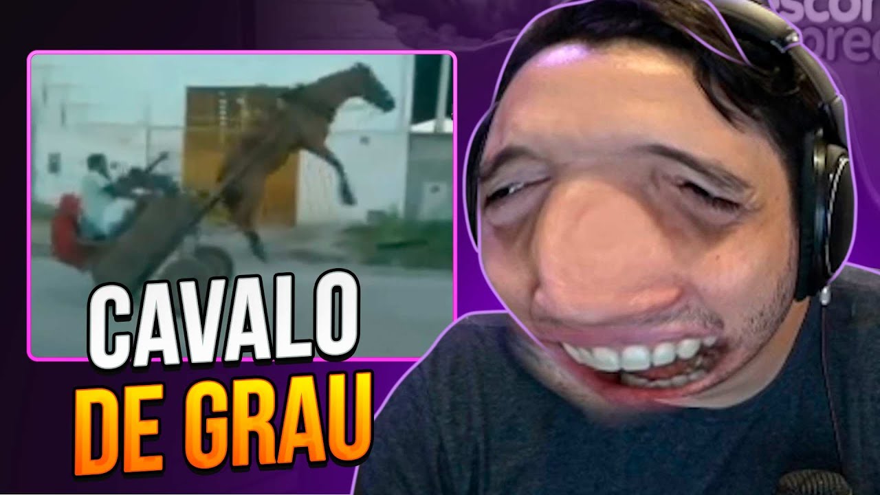 JEFFIN NÃO AGUENTOU DE TANTO RIR DO CAVALO DANDO GRAU 😂
