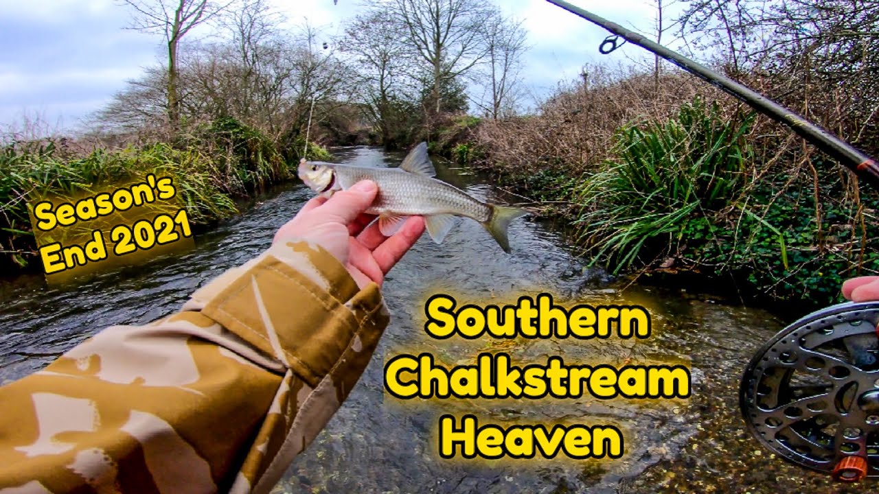 Fishing A Southern Chalkstream For Dace & Chub - Centrepin & Stick Float Heaven.