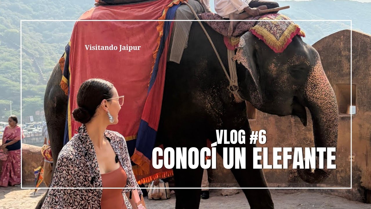 ¿NO ME GUSTÓ JAIPUR? Vlog // Una Colombiana en India 