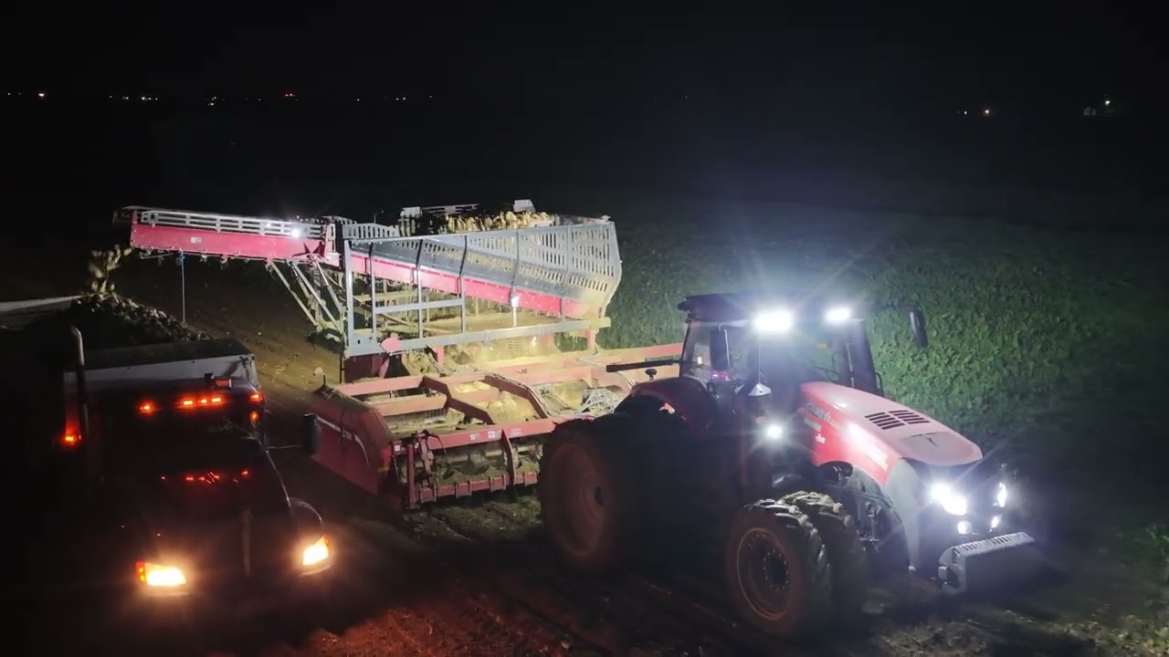Idaho Sugar Beet Harvest With 6 Family Farms