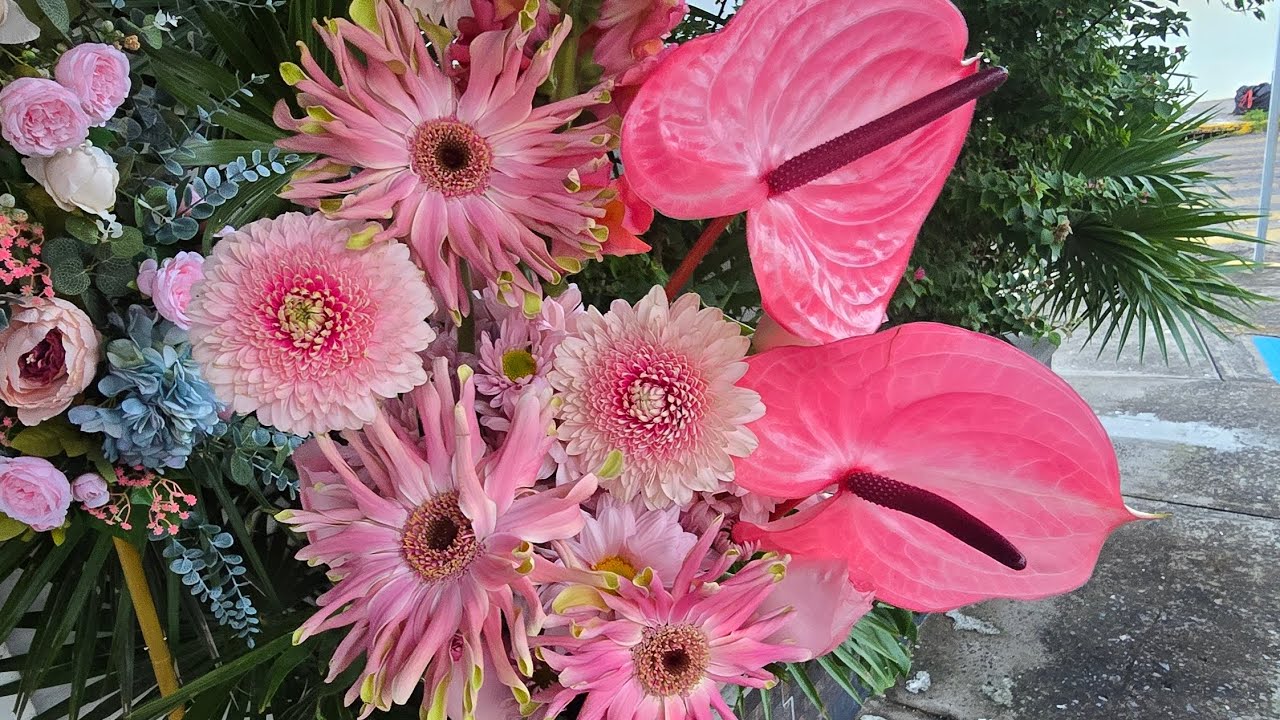Ramo de Anturios y variedad de Gerberas 
