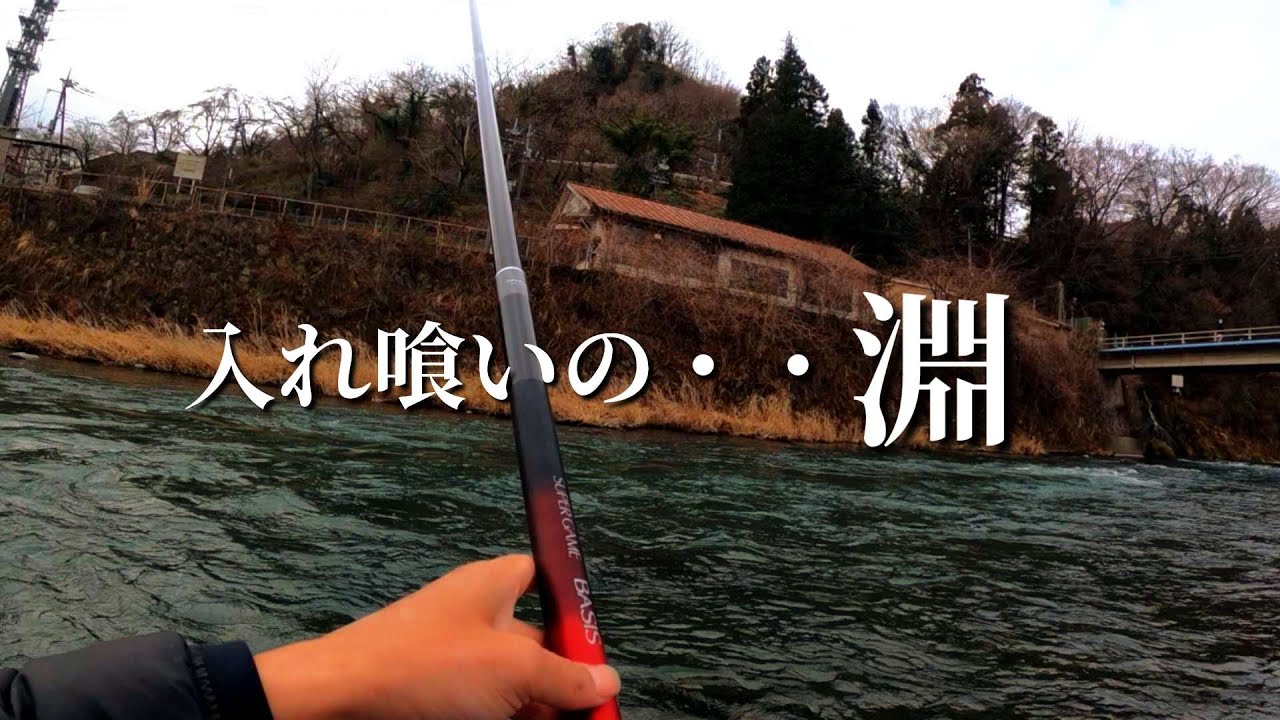 【渓流釣り】【餌釣り】早春の本流釣り。歩いた先でたくさん釣れる。