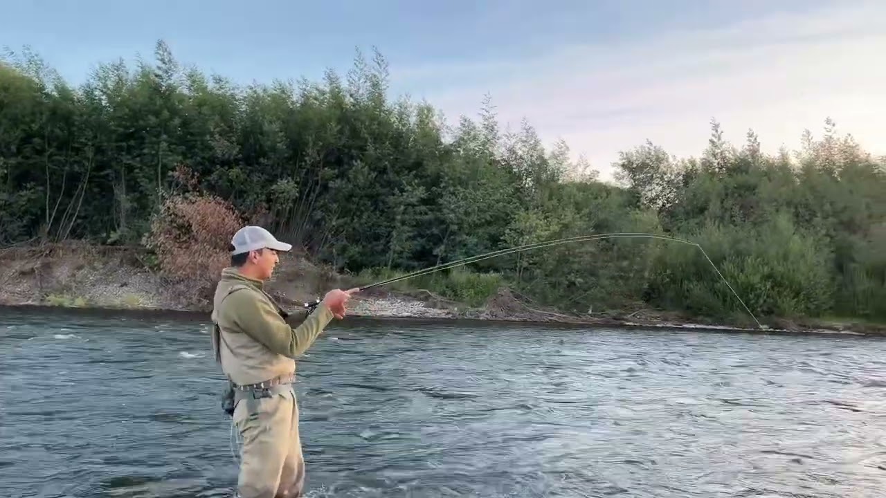 Pesca con Mosca Chile 2025 r&iacute;o cautin Araucania