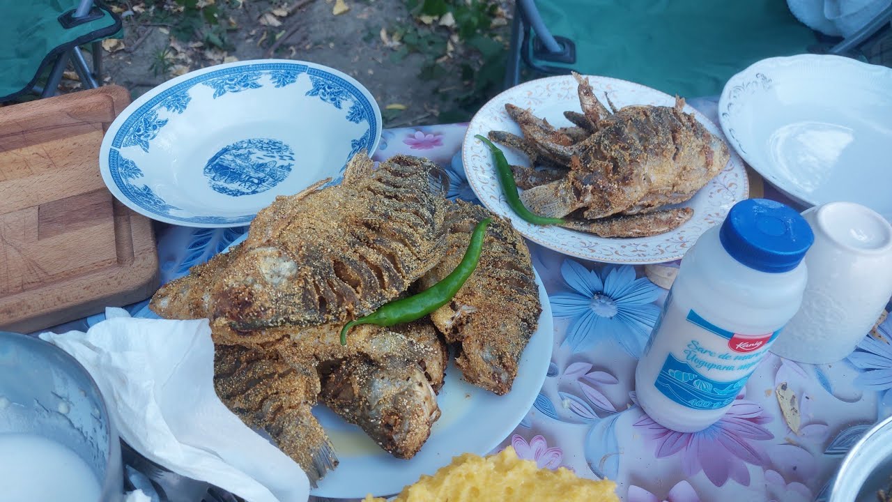 Pescuit la Dunăre!!!! Carași frumoși de Stă Marie....