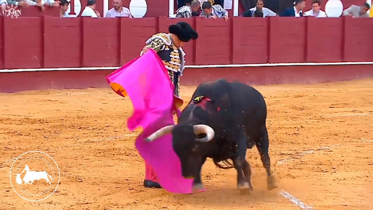 Andr&eacute;s Roca Rey, primer toro, Feria de M&aacute;laga, 19-08-2025