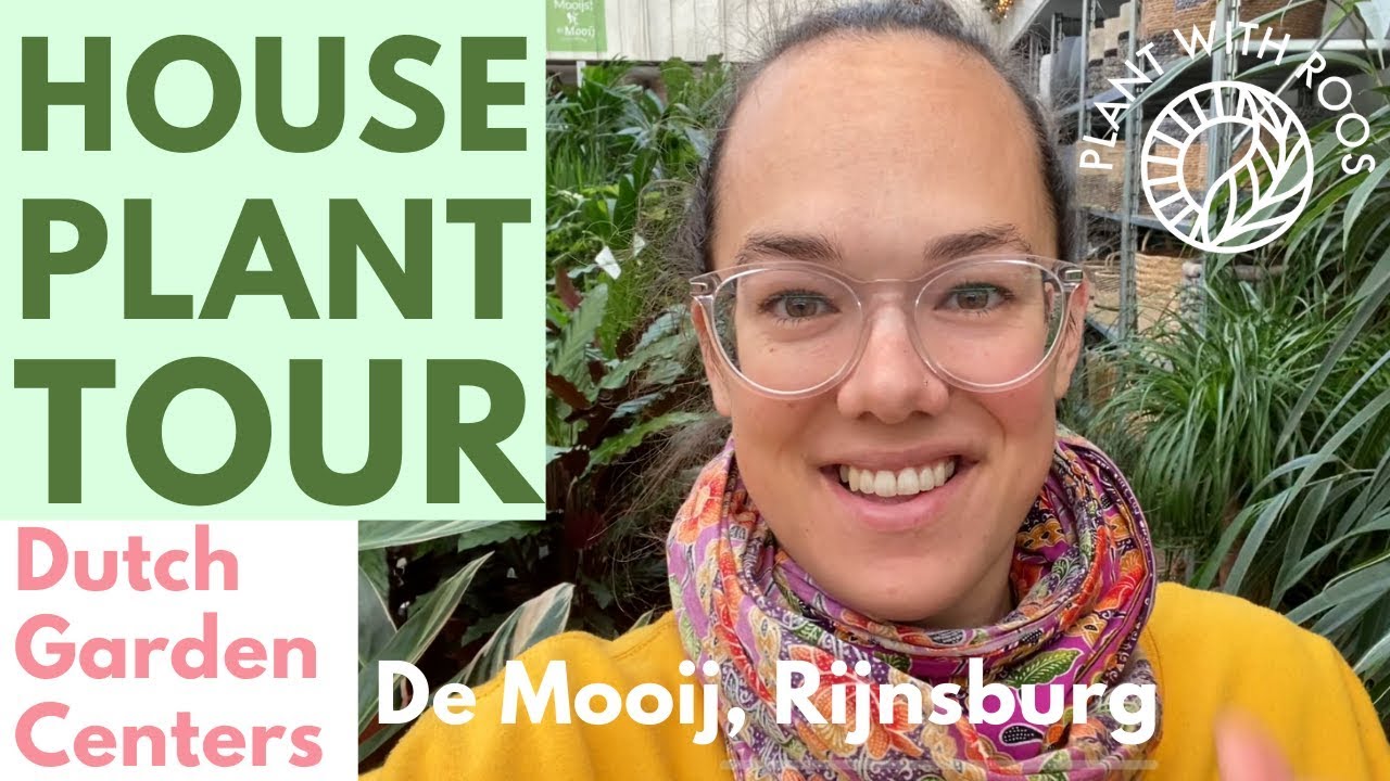 House Plant Shop Tour | Go shopping with me at De Mooij Rijnsburg | Plant with Roos