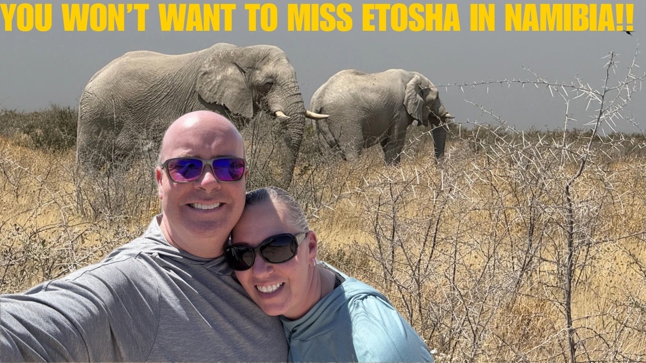 Driving Through Etosha... Until Elephants Stopped Us Cold