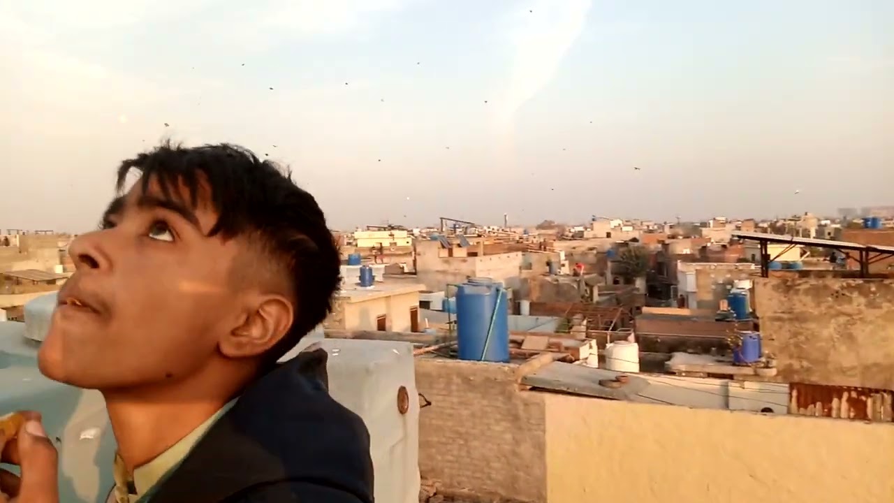 Kite flying Amiruddin Park near Tajpura Scheme Lahore Cantt