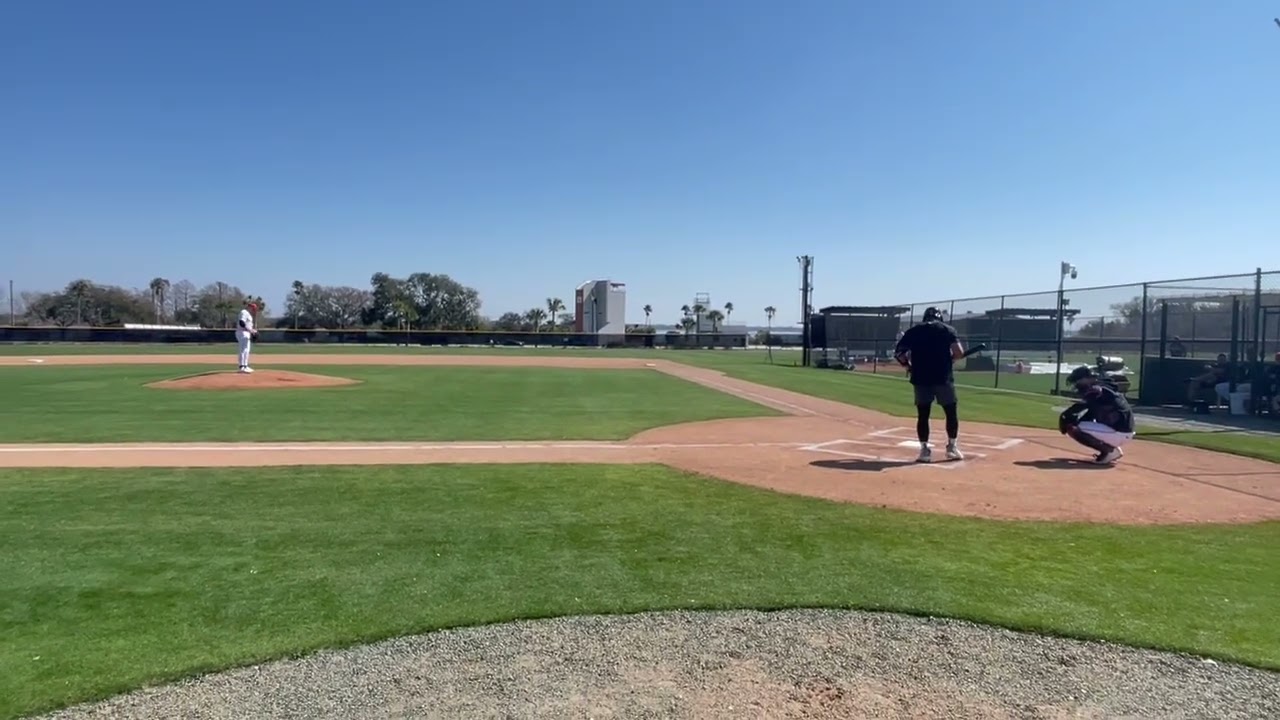 Tarik Skubal strikes out prospect Hao-Yu Lee in Tigers spring training