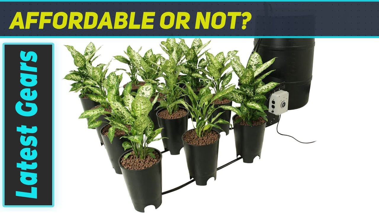 Active Aqua Grow Flow Ebb & GRO 12 Site 2Gal Hydroponic System