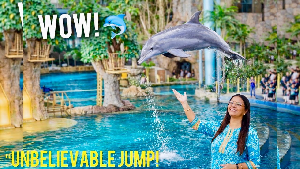 🐬 Live Dolphin Show Abu Dhabi | SeaWorld Abu Dhabi Experience | Family Fun#lifeisbutadream #video🏙️