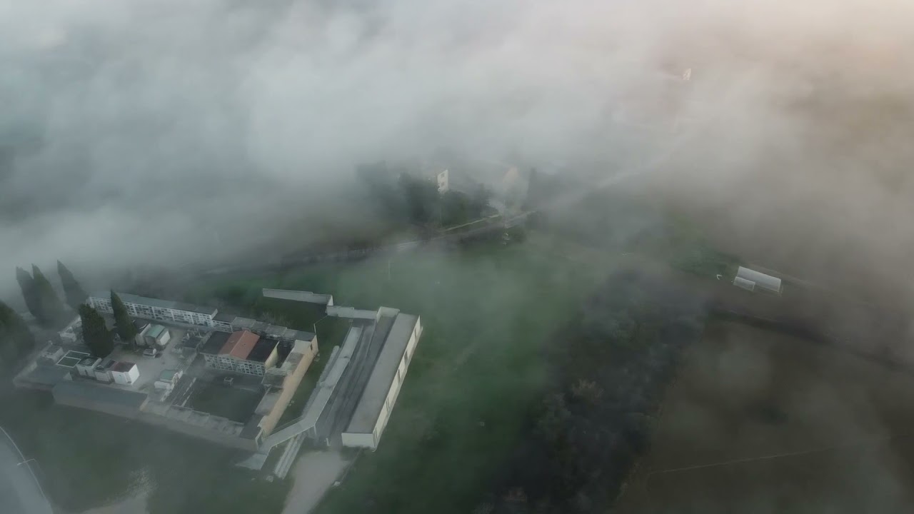 Fog
