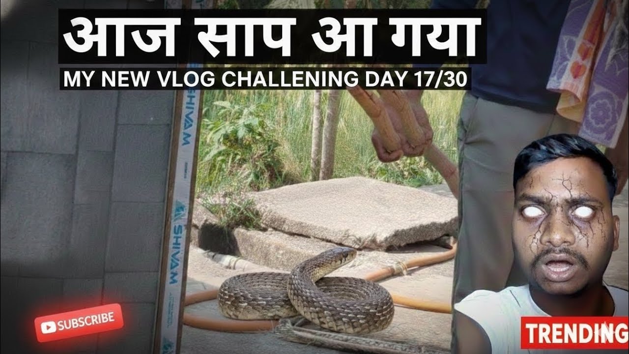 DANGER: Ghar Mein Ghus Aaya Asli Wala Zahreela Saup! 🐍😱 | My New Vlog Day 17/30 @kailashkatara27#hin