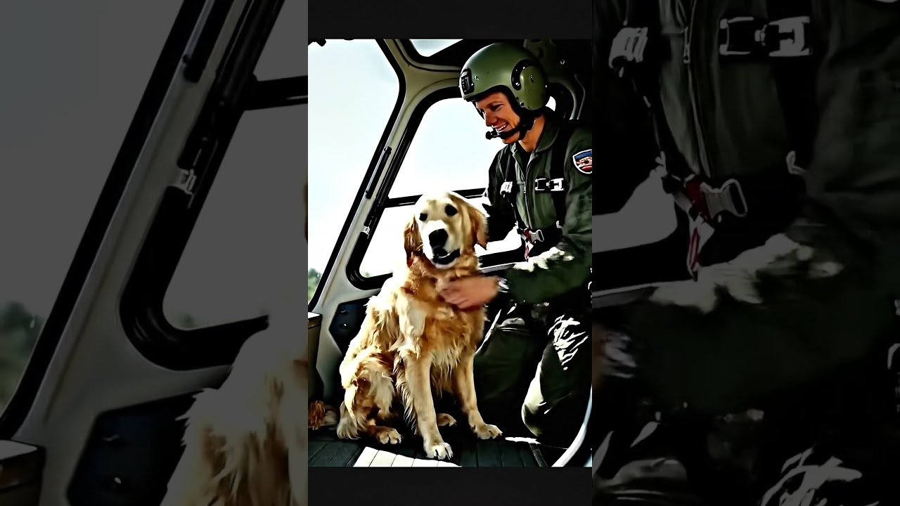 A fearless dog rescued a helicopter from disaster. 🚁🐾#HeroDog #HelpingPaws #DogRescue #BraveDog