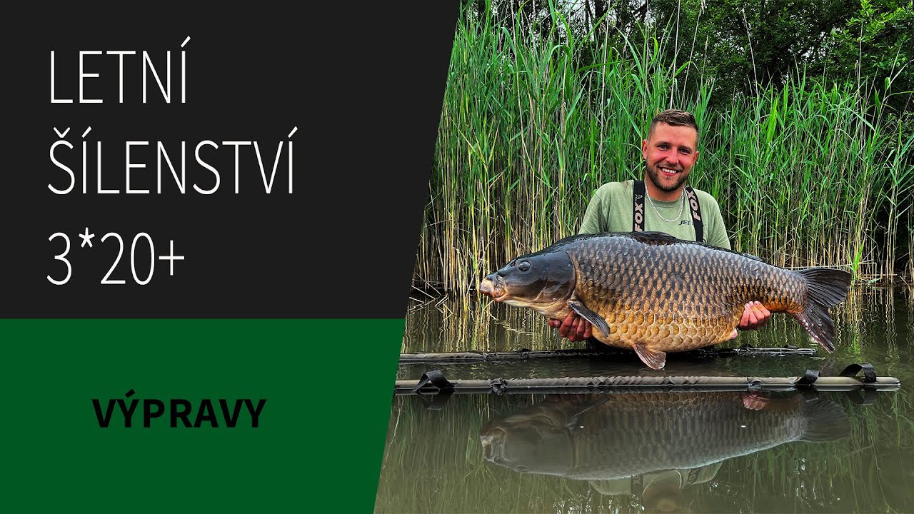 LETNÍ ŠÍLENSTVÍ - MILAN KUBÍČEK