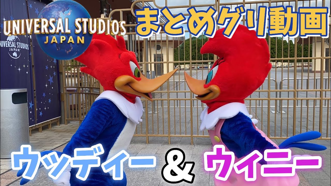 【妄想グリ動画】ウッディーのグリーティングまとめ動画【ウッディーウッドペッカー】