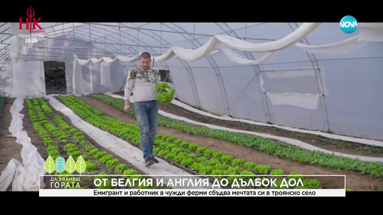 Да хванеш гората (16.02.2025)