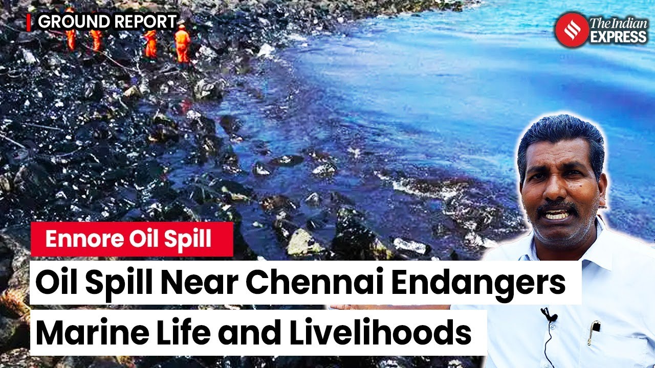 Ennore Oil Spill: Ennore Struggles After CPCL's Oil Spill Raises Serious Concerns