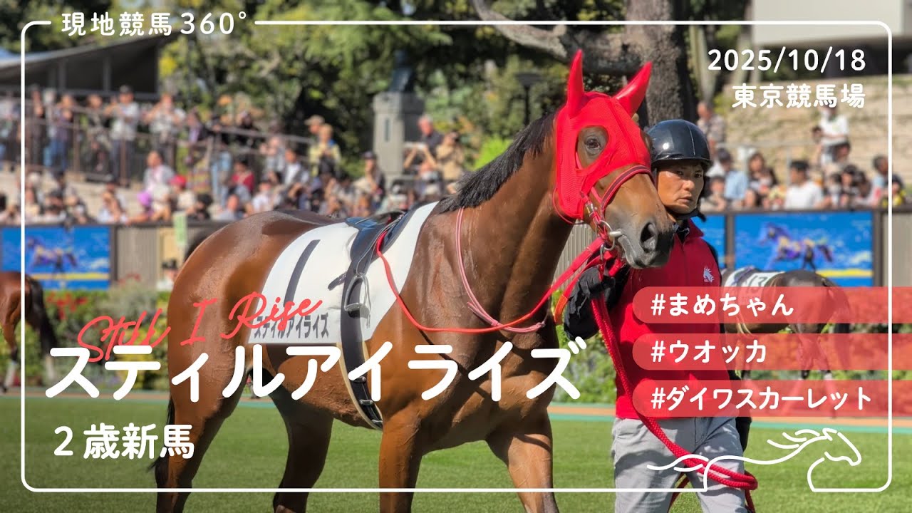 スティルアイライズ | 2歳新馬 | パドック/本馬場入場/レース | 2025/10/18 | 東京競馬場