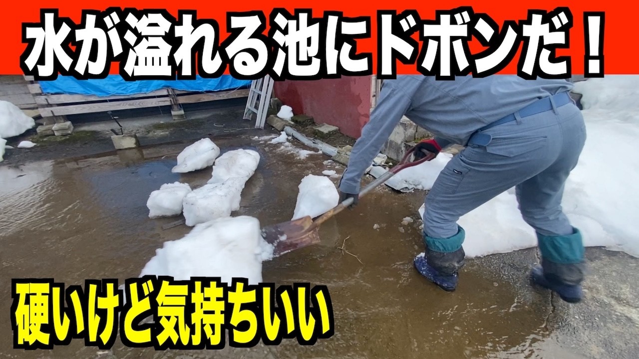 【ドボン】水が溢れる池に硬い雪を突っ込む！2026-03-18（水）武七の除雪・雪かき日記　snowremoval snowplow ASMR