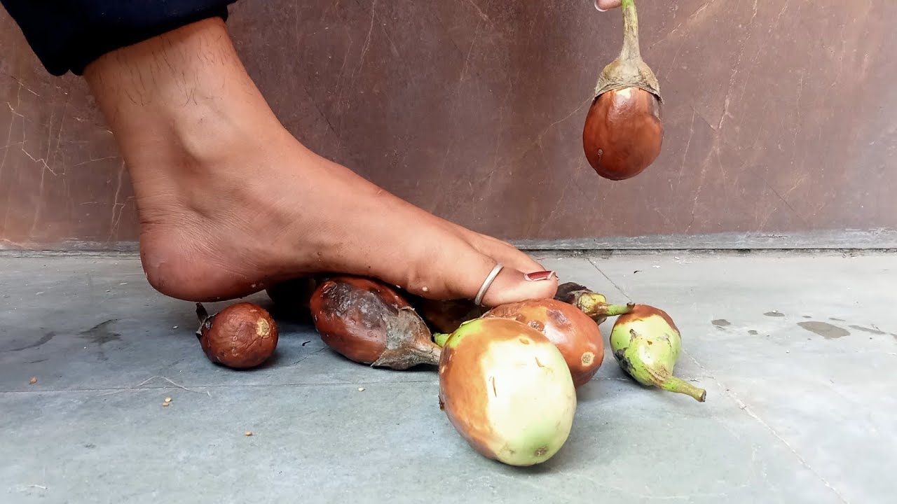 Barefoot Brinjal Trampling 😍 | Most Satisfying Crush Challenge
