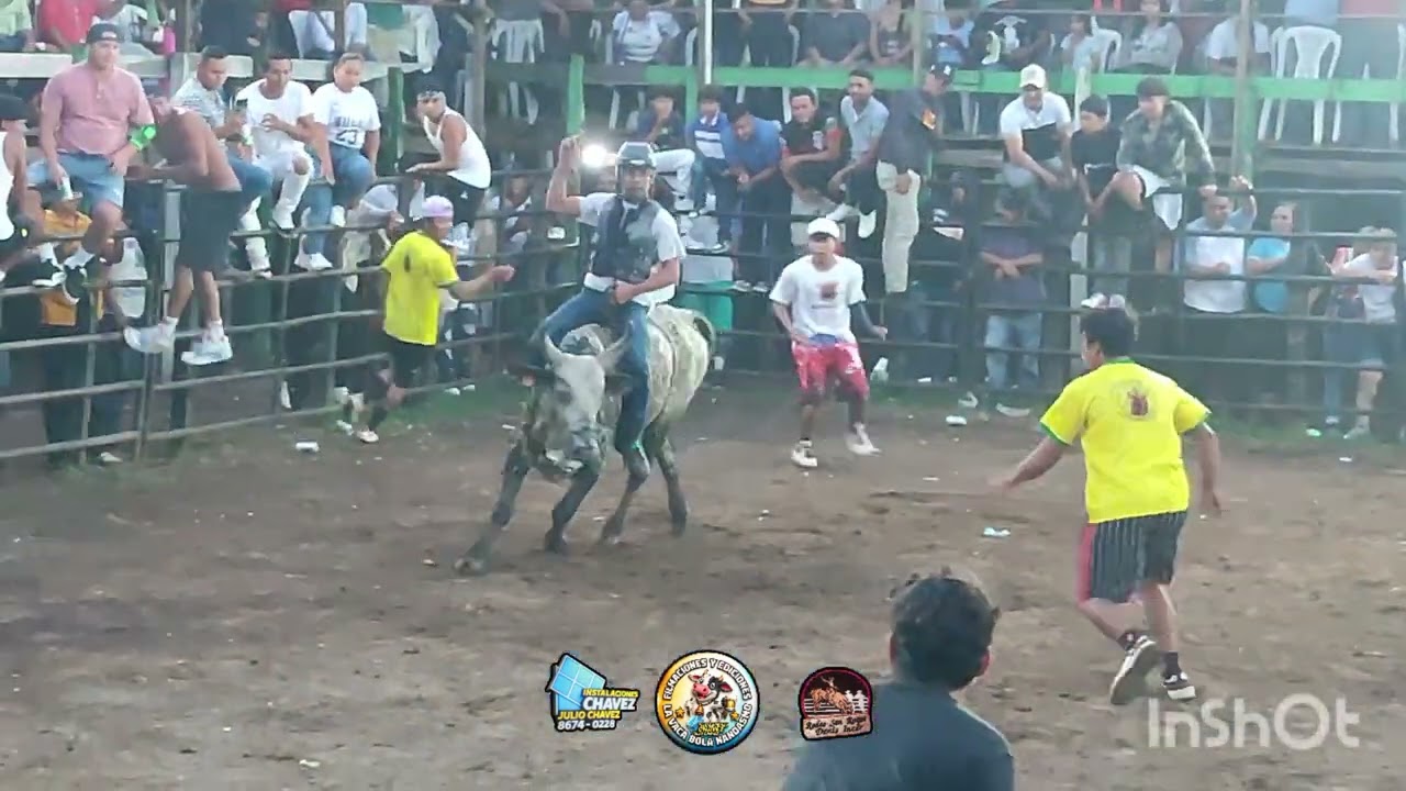 Ganadería Denis incer 🤠🐂 💯 Rodeo juvenil los prospectos de los Taquilleros 🐂🐂