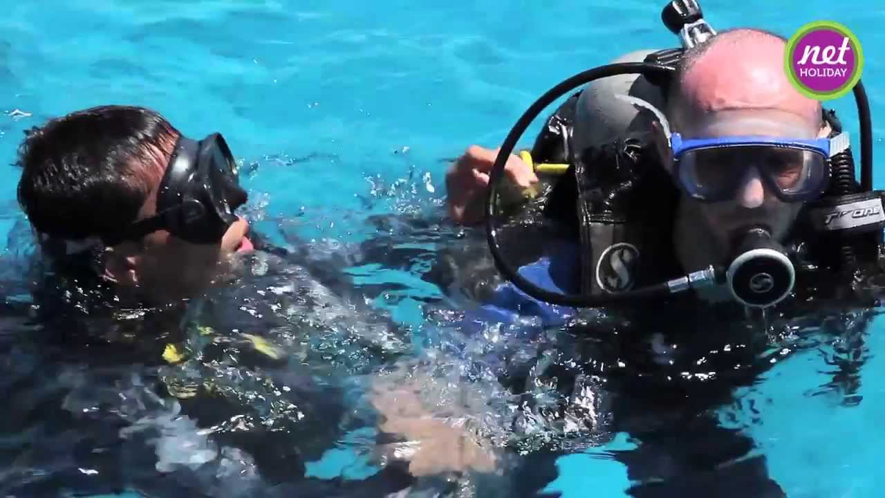 Nurkowanie w Egipcie z Net Holiday i High Dive - netholiday.pl