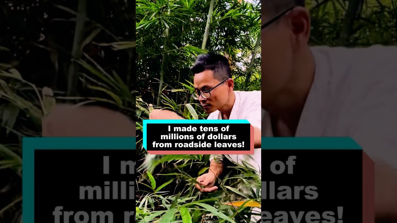 I made tens of millions of dollars from roadside leaves! 