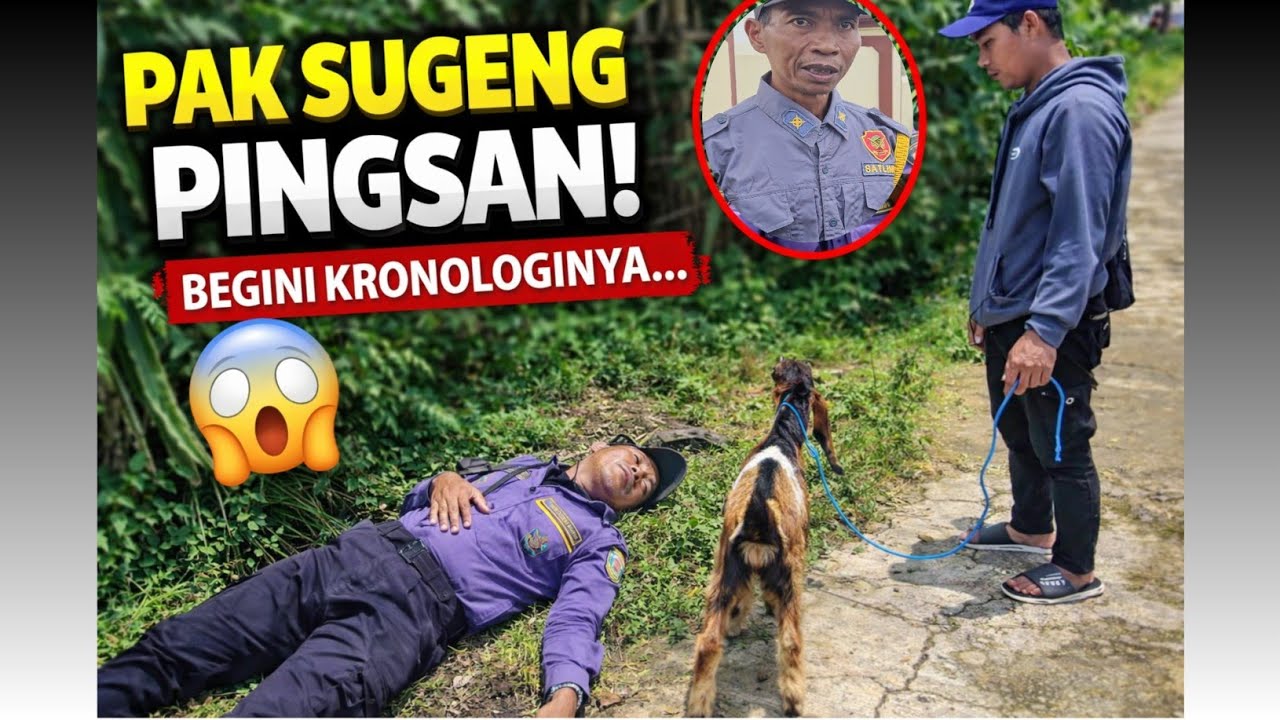 TIBA-TIBA DATANG LANGSUNG PINGSAN 😱
