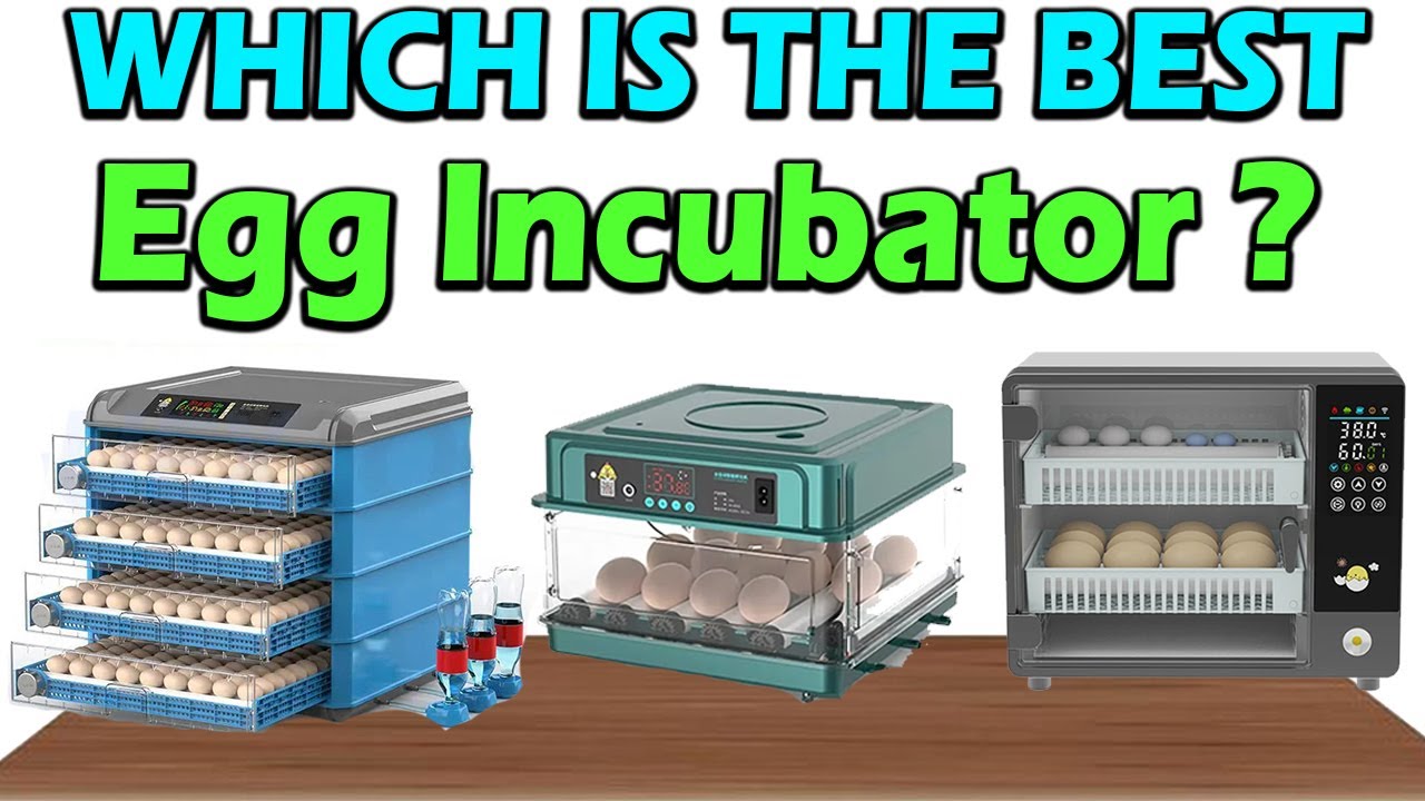 TOP 5 Best Egg Incubators 2026 - Automatic Hatching Machines Review